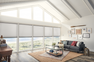 a Living room with a vaulted ceiling has large windows with roller shades.